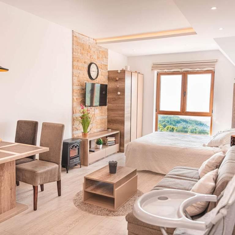 Cicmilovic P63, Milmari Resort, Kopaonik - Studio Apartment - 1