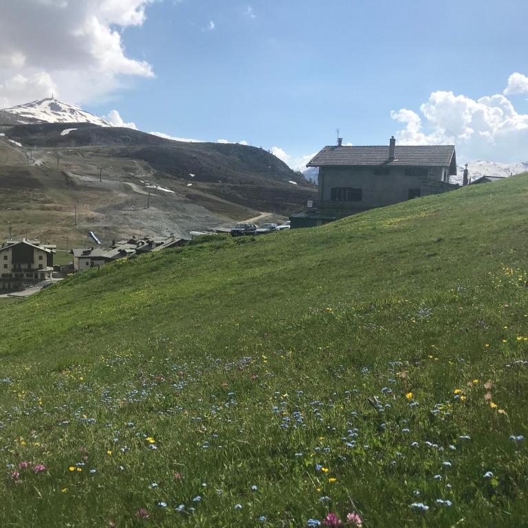 Appartamento Paola - Appartamento con 2 Camere da Letto - 22