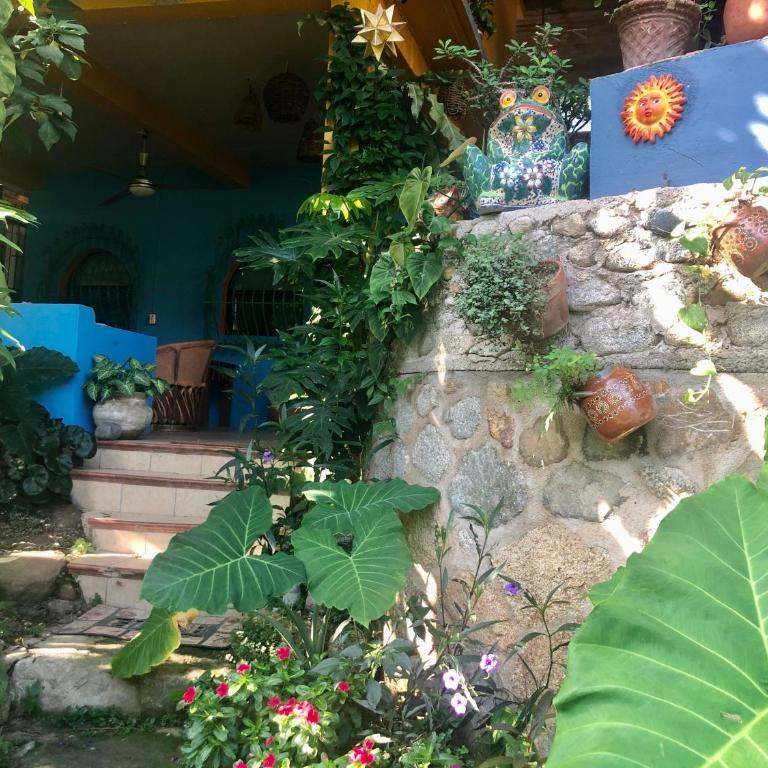 Casa Cereza Apartments - Jungle Hideaway - 12