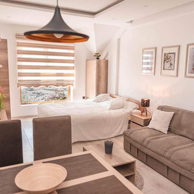 Cicmilovic P63, Milmari Resort, Kopaonik - Studio Apartment - 20