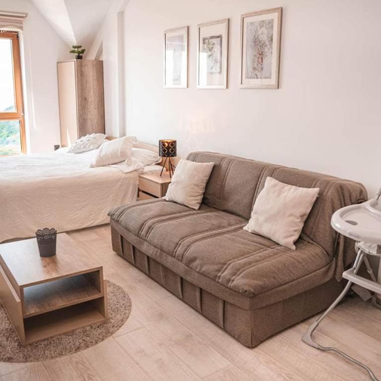 Cicmilovic P63, Milmari Resort, Kopaonik - Studio Apartment - 23
