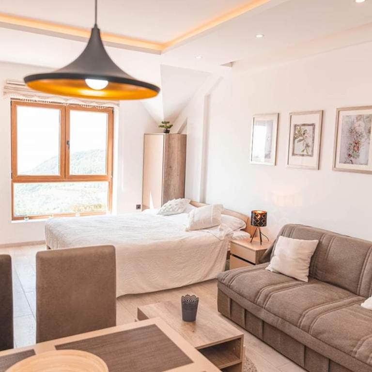 Cicmilovic P63, Milmari Resort, Kopaonik - Studio Apartment - 13