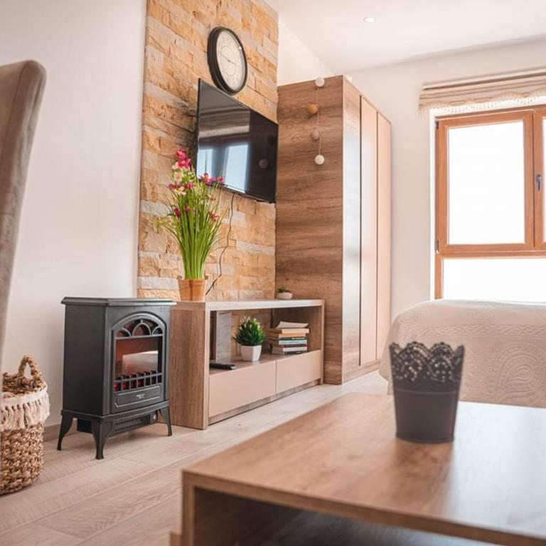 Cicmilovic P63, Milmari Resort, Kopaonik - Studio Apartment - 8