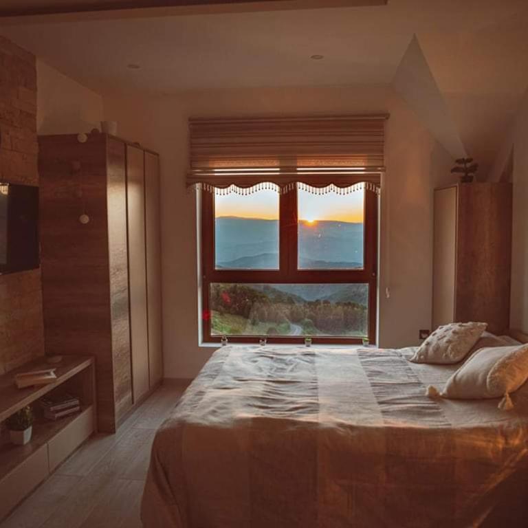 Cicmilovic P63, Milmari Resort, Kopaonik - Studio Apartment - 6
