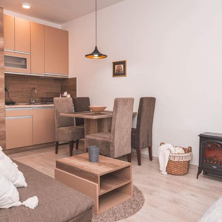 Cicmilovic P63, Milmari Resort, Kopaonik - Studio Apartment - 21