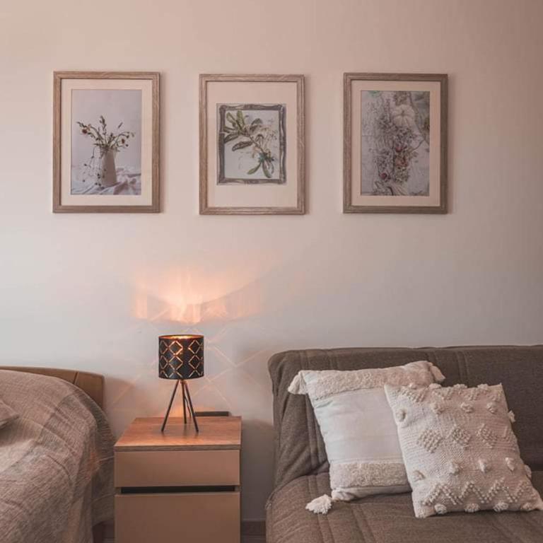 Cicmilovic P63, Milmari Resort, Kopaonik - Studio Apartment - 10
