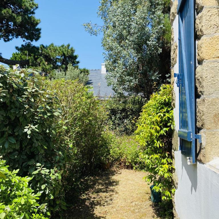 DRUIDES - Villa Familiale, Centre Plage - K51 - Maison 3 Chambres - 23
