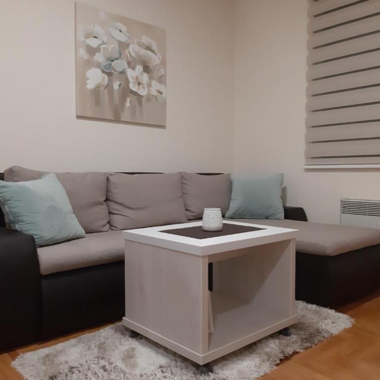 Zlatibor Relax - SPA - Apartman sa 1 Spavaćom Sobom - 3