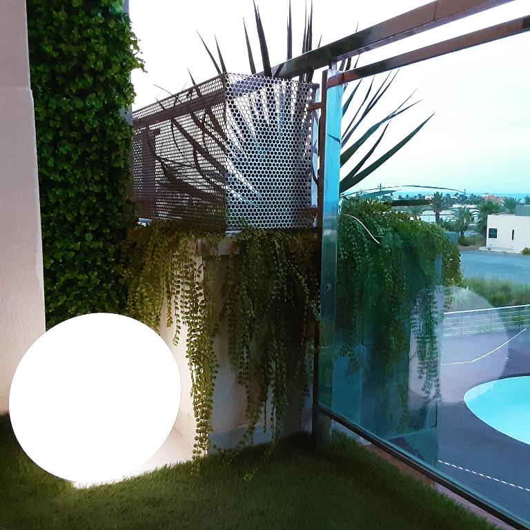 El remanso II - Apartamento de 1 dormitorio - 23