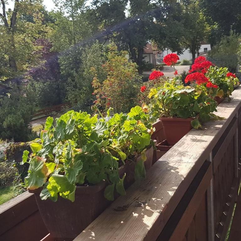 Ferienwohnung Bosch - Apartment mit 4 Schlafzimmern und Bergblick - 4