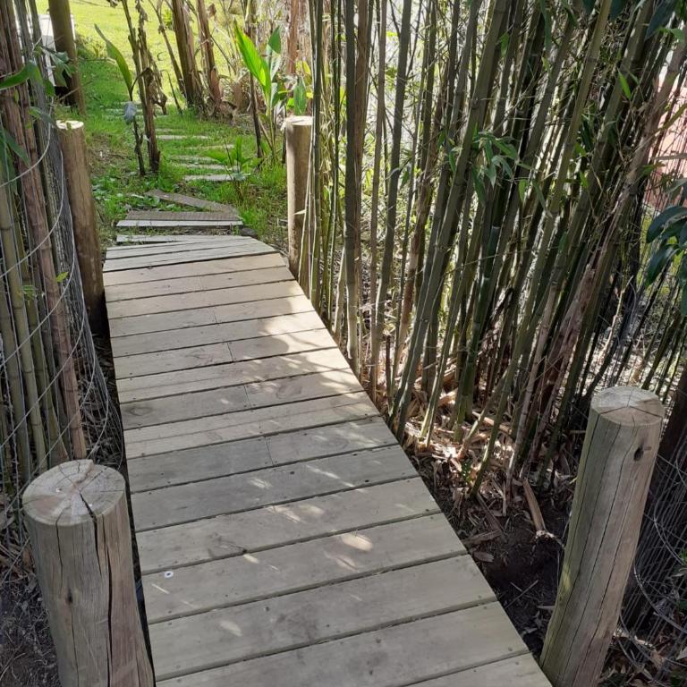 Pez Espada - One-Bedroom Apartment - 1