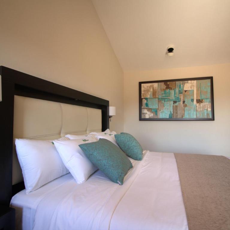 Hotel Villa Murano - Superior Double Room - 4