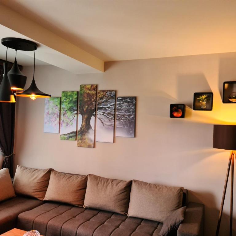 Four seasons apartment Zlatibor - Apartman sa 1 Spavaćom Sobom - 3
