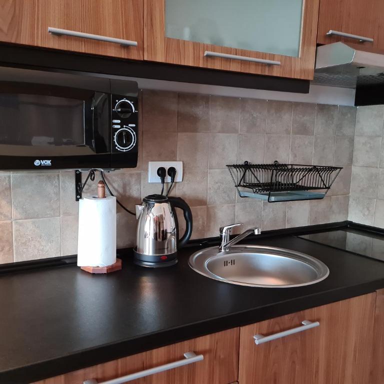 Four seasons apartment Zlatibor - Apartman sa 1 Spavaćom Sobom - 13