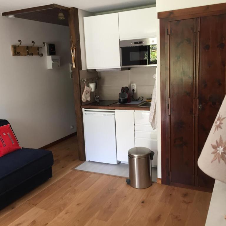 Studio au calme avec jardin et vue Mont-Blanc - Apartamento con vistas a las montañas - 5