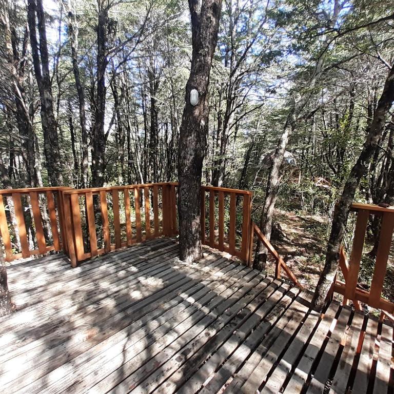 Domos Entre Bosques - Family Bungalow - 8