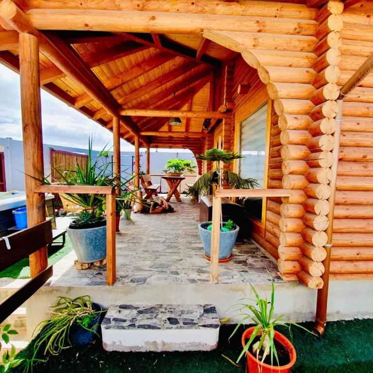 Wild House - Casa de 2 dormitorios - 11