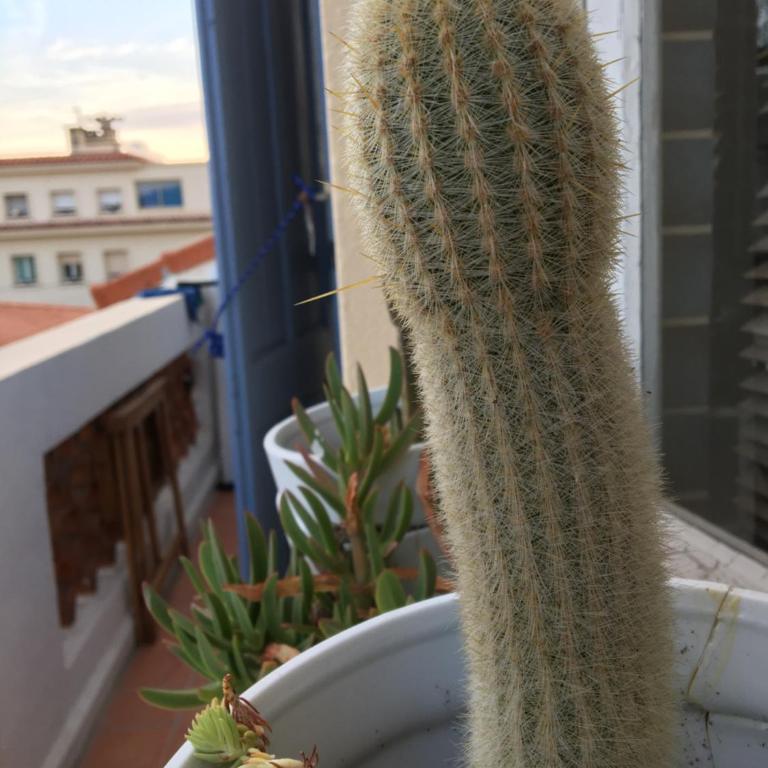 Face à la mer - Apartamento de 1 dormitorio - 26