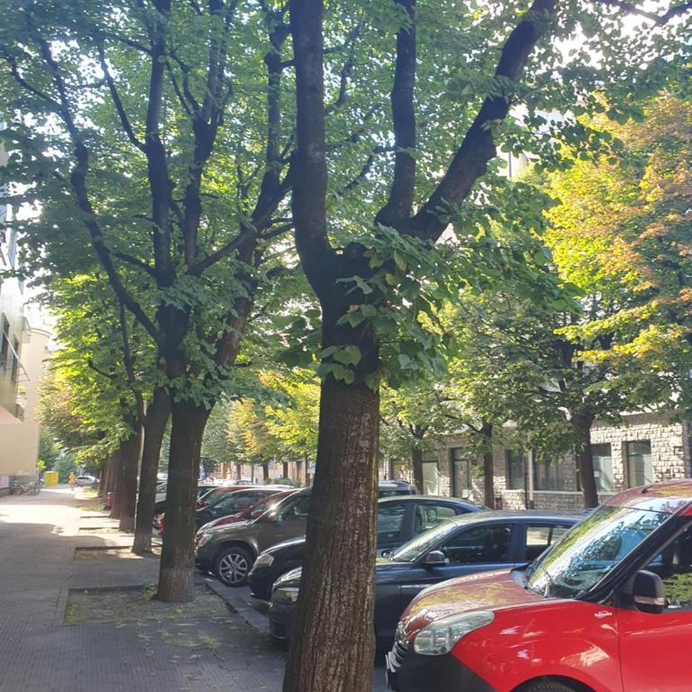 Pellico Stylish Apartments - Appartement - Vue sur Jardin - 23