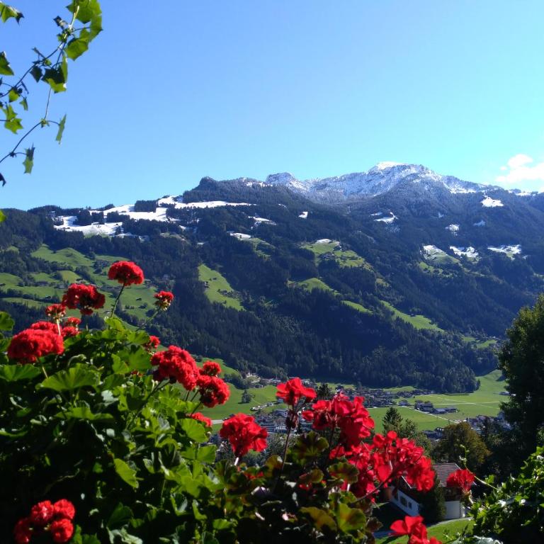 Zillertal Apartment mit Traumausblick - Haus Kirchler - Apartment mit 1 Schlafzimmer - 58