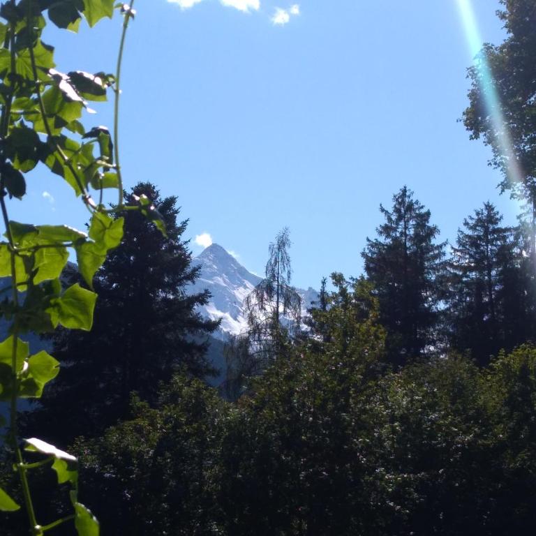 Zillertal Apartment mit Traumausblick - Haus Kirchler - Apartment mit 1 Schlafzimmer - 57