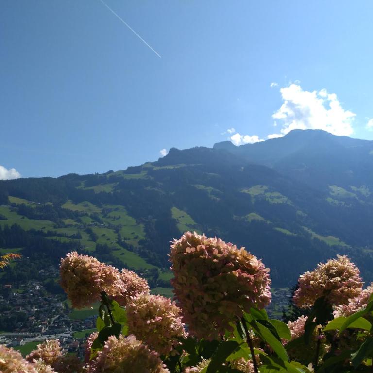 Zillertal Apartment mit Traumausblick - Haus Kirchler - Apartment mit 1 Schlafzimmer - 10