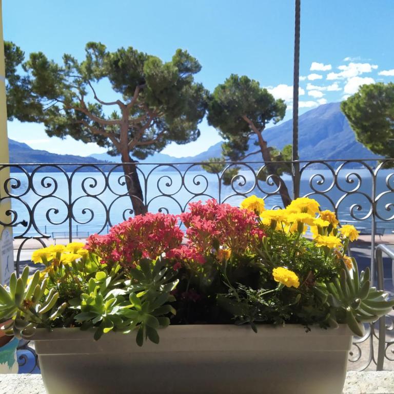 Casa d'epoca fronte lago a Domaso lago di Como - Appartamento con Vista Lago - 29