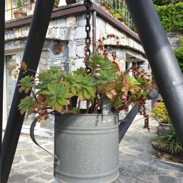 B&B collina e mare - Appartamento - 18