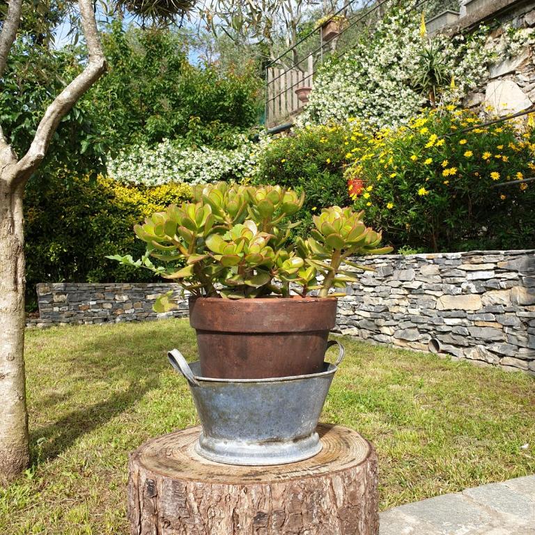 Collina e mare - Casa Vacanze - 11