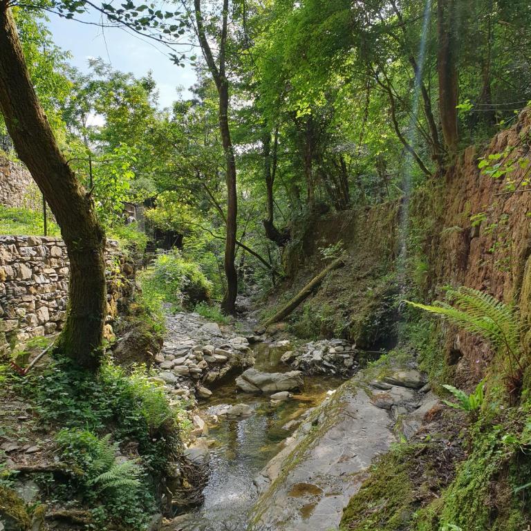 Collina e mare - Casa Vacanze - 9