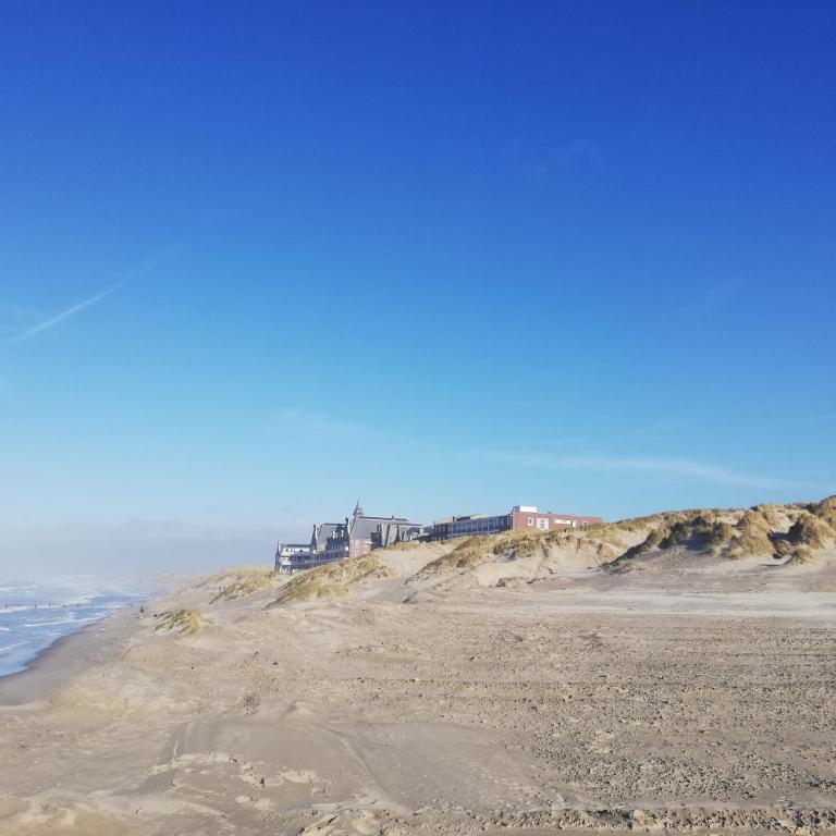 Au pied des dunes joli appart Cosy 50M de la plage - One-Bedroom Apartment - 30