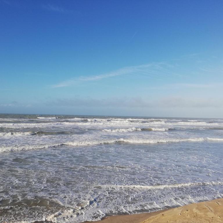Au pied des dunes joli appart Cosy 50M de la plage - One-Bedroom Apartment - 22