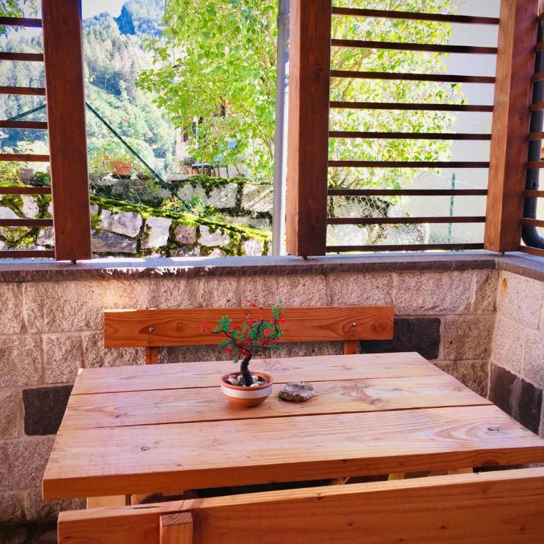 Casa di Micky - Studio with Mountain View - 20