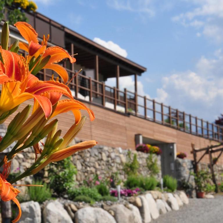 Landhaus Freiburgerhof - Appartamento con 1 Camera da Letto - 17