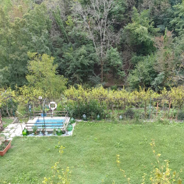 Collina e mare - Casa Vacanze - 13