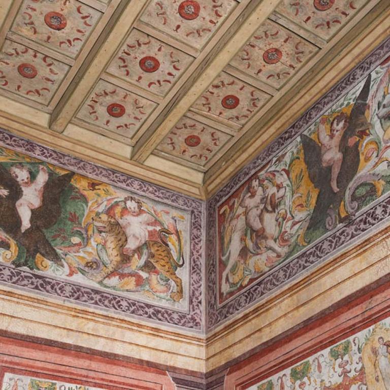 PALAZZO BECCAGUTTI CAVRIANI - Gallery Suite e Frescoes Suite - Appartamento con 1 Camera da Letto - 6