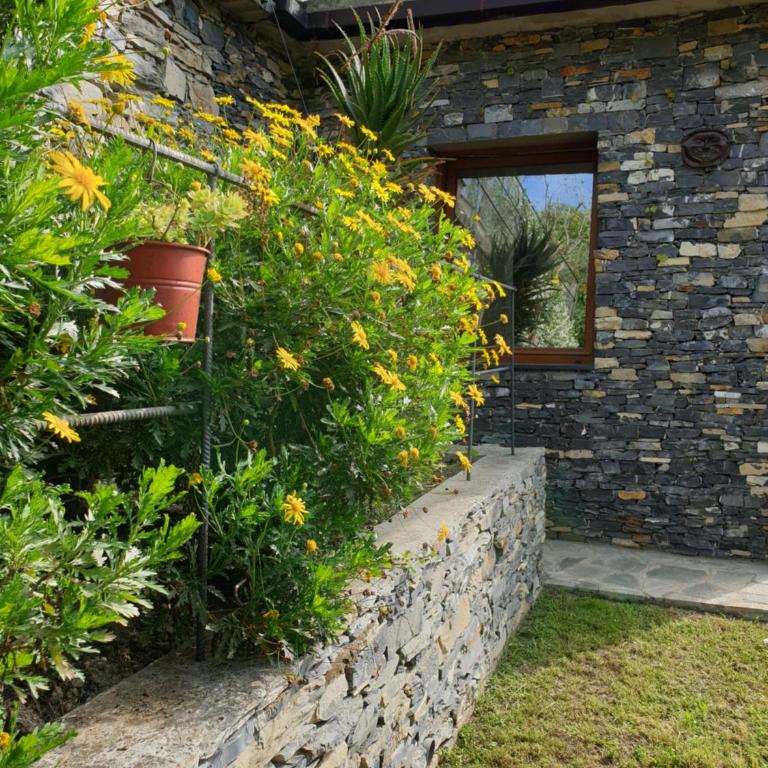 Collina e mare - Casa Vacanze - 6