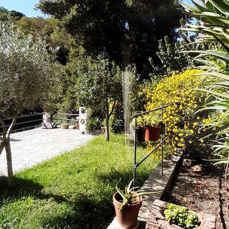 Collina e mare - Casa Vacanze - 4