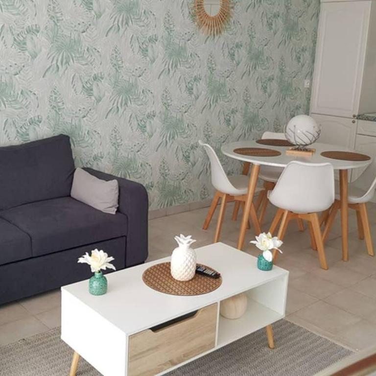 Appartement Antibes juan les pins piscine et mer a 200m - Appartement 1 Chambre - 18