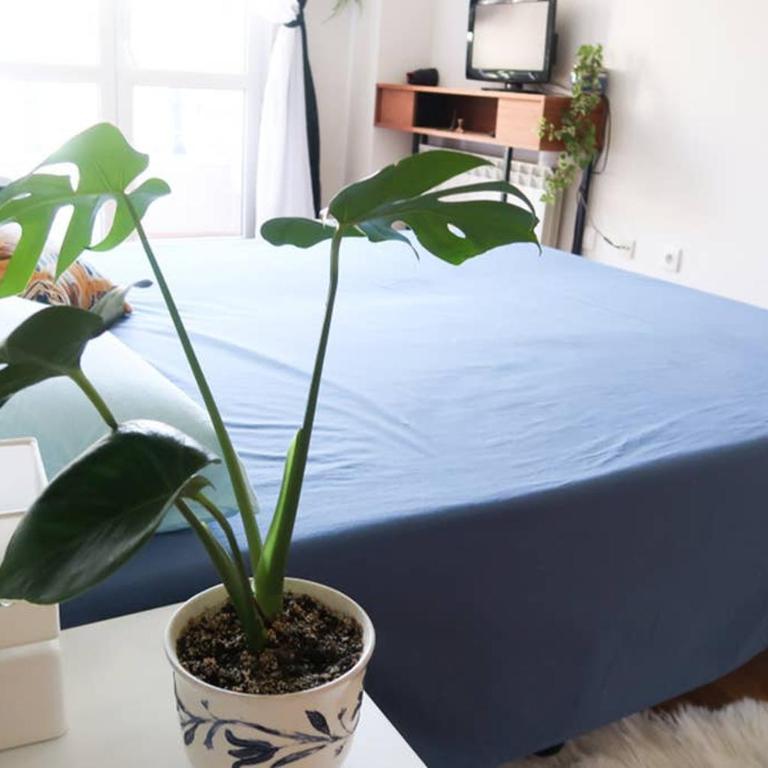 Housingleon- Casa Oliva con opción a Garaje - Apartamento de 2 dormitorios - 18