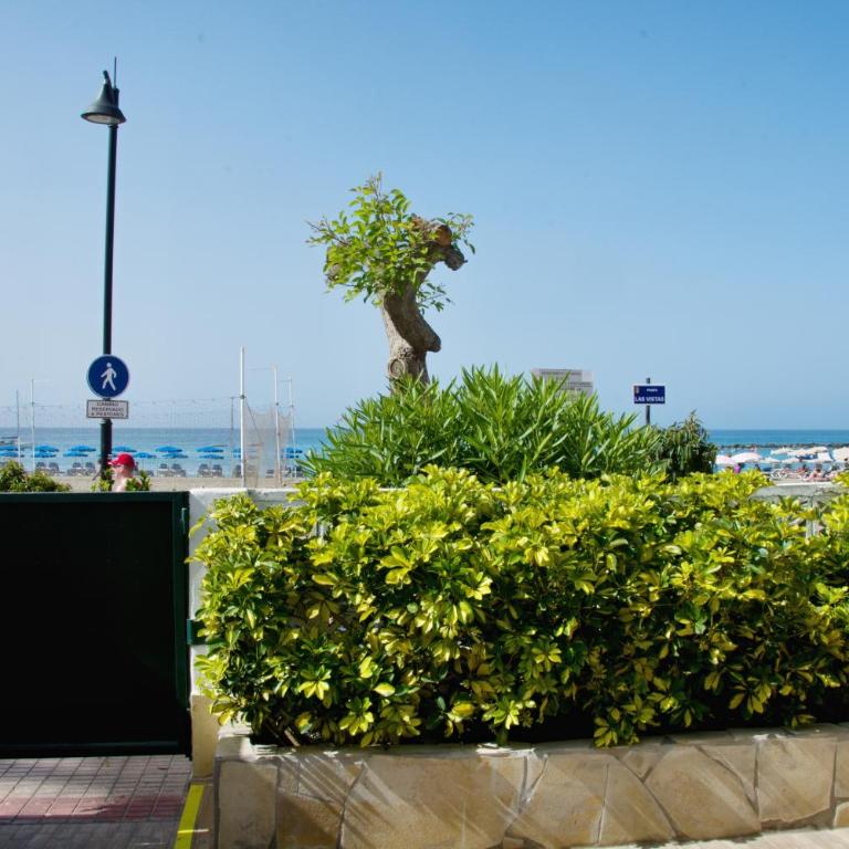 Casa Capitan con vista mar - Casa de 2 dormitorios con vistas al mar - 2