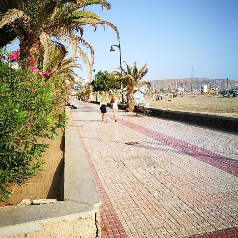 PLAYA LAS VISTAS LOFT - Estudio - 22