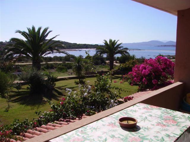 Residence Porto Coda Cavallo - Appartamento con 2 Camere da Letto (6 Adulti) - 1