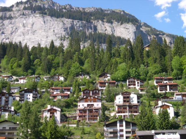 Panorama A23 Fitzi - Ferienwohnung für 1-2 Personen - Studio mit Bergblick - 1
