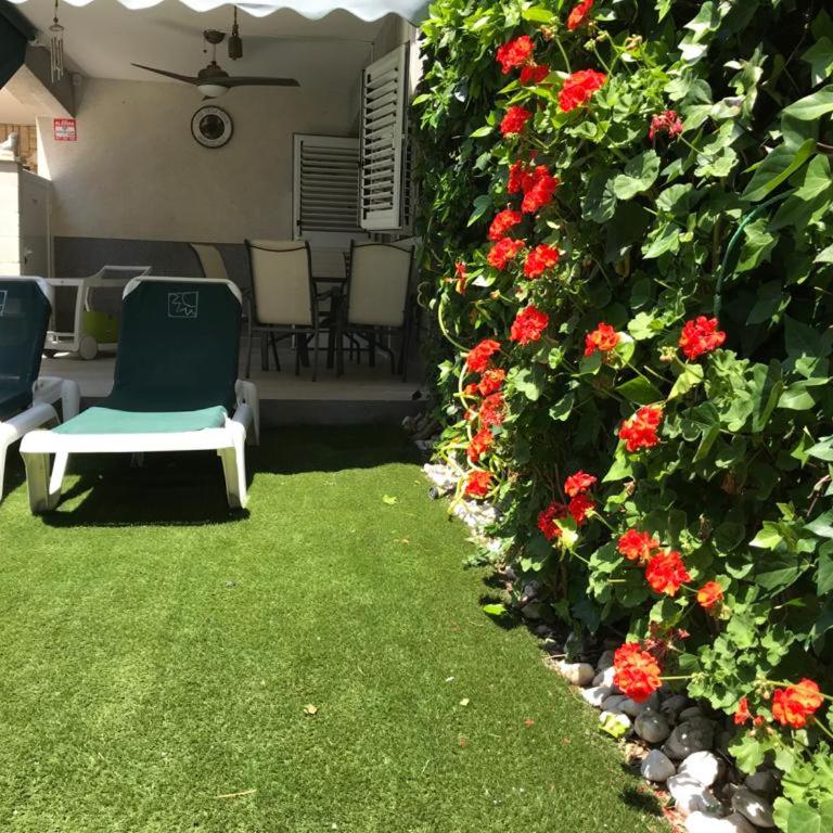 Apartamento Salou Playa Sol - Apartamento - Planta baja - 1