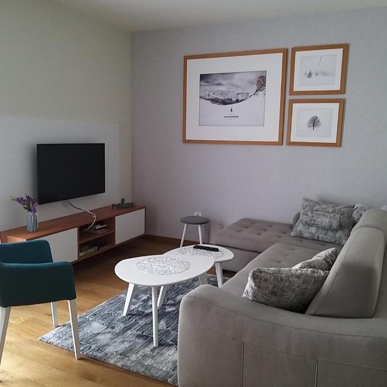 Apartman 307 u Vili Borova - One-Bedroom Apartment - 1
