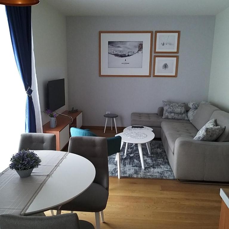 Apartman 307 u Vili Borova - One-Bedroom Apartment - 2