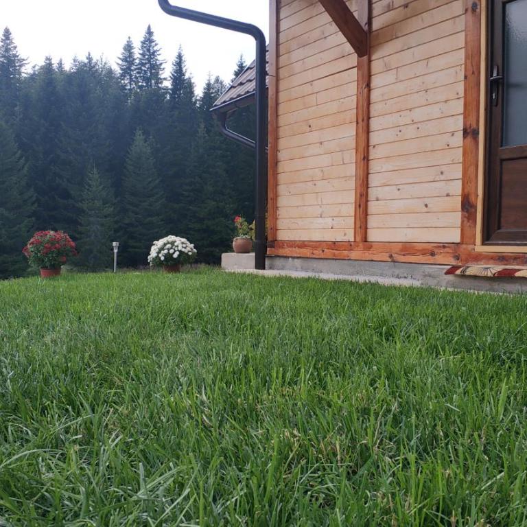 Brvnara Dolina jela - Kuća sa 3 Spavaće Sobe - 33
