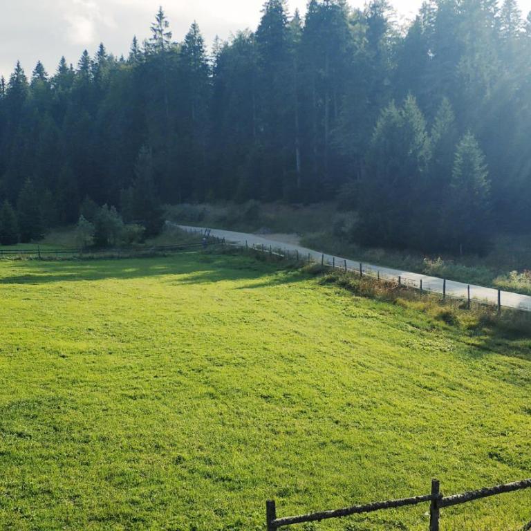 Brvnara Dolina jela - Kuća sa 3 Spavaće Sobe - 35
