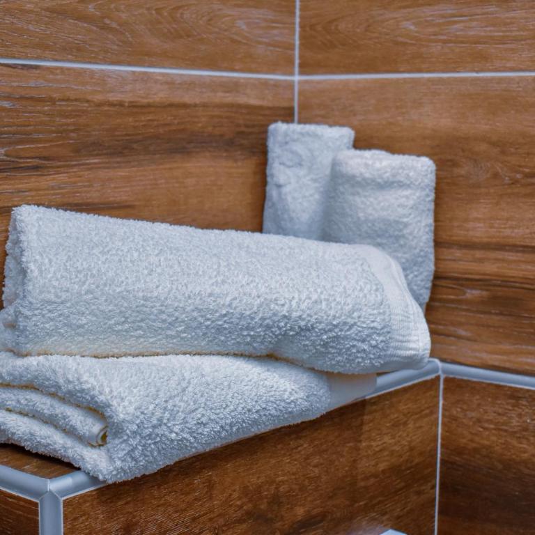 Apartman BLAGOJEVIĆ - One-Bedroom Apartment - 15